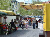 Unter den Lauben